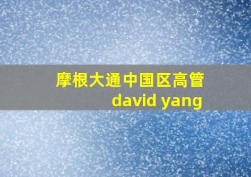 摩根大通中国区高管 david yang